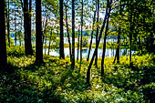 Punkaharju, Savonlinna. La zona nei pressi di Lusto, il museo della foresta finlandese. 